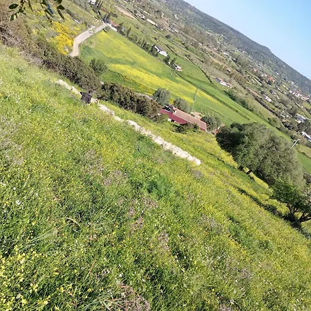 Neunele